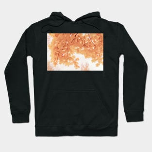 Soft yellowish-brown maple leaves in autumn Hoodie